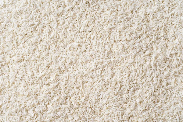 Witte langkorrelige rijst — Stockfoto