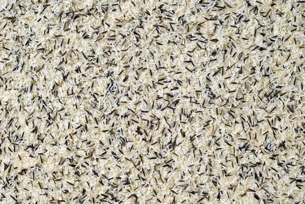 Άγριο ρύζι — Φωτογραφία Αρχείου