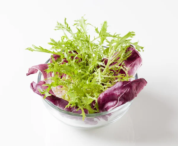 Salad greens — Stock Photo, Image