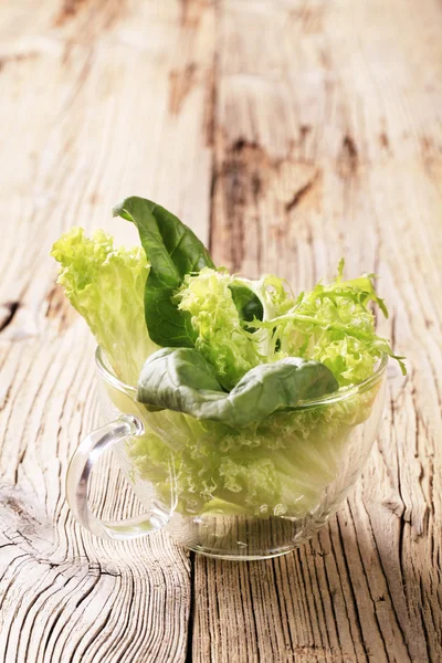 Salad greens — Stockfoto