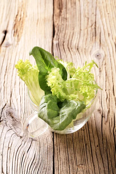 Verse Salade Groenen Een Cup Closeup — Stockfoto