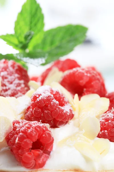 stock image Raspberry dessert