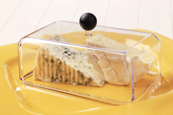 两种奶酪下一个透明的盖子 — 图库照片
