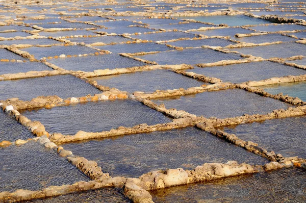 在马耳他的盐蒸发池 — 图库照片