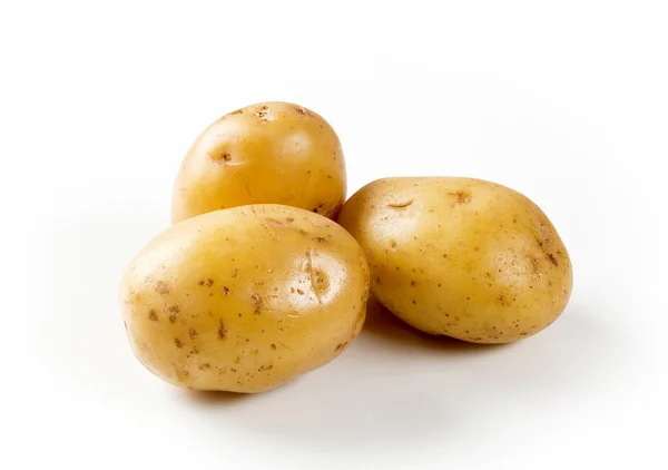 stock image Studio shot of three raw potatoes