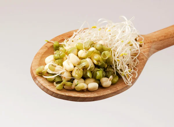 Mung beans and sprouts — Stock Photo, Image