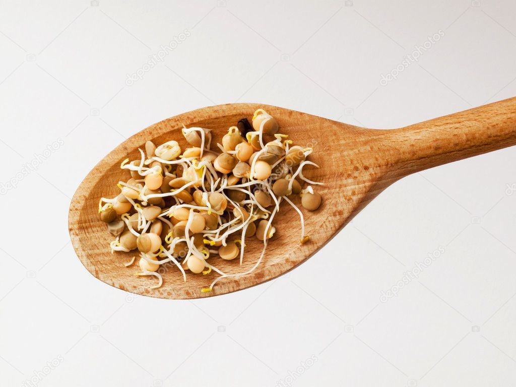 Lentil sprouts on a wooden spoon - detail