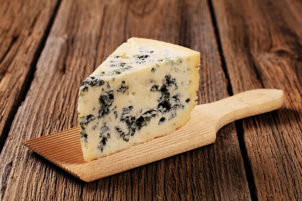 Modrý sýr — Stock fotografie