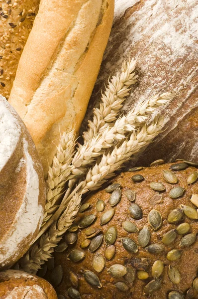 Odmiany chleba — Zdjęcie stockowe