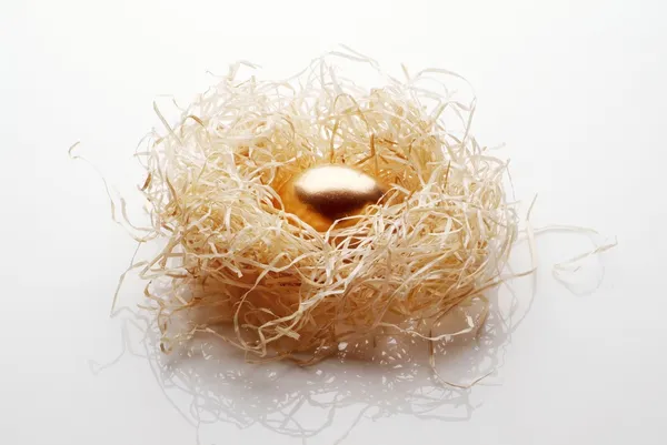 Golden egg in a nest — Stock Photo, Image