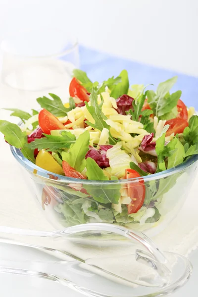 Весенний салат — стоковое фото