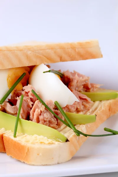 Sandwich au thon — Photo