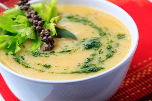 Vegetabilsk fløde suppe - Stock-foto