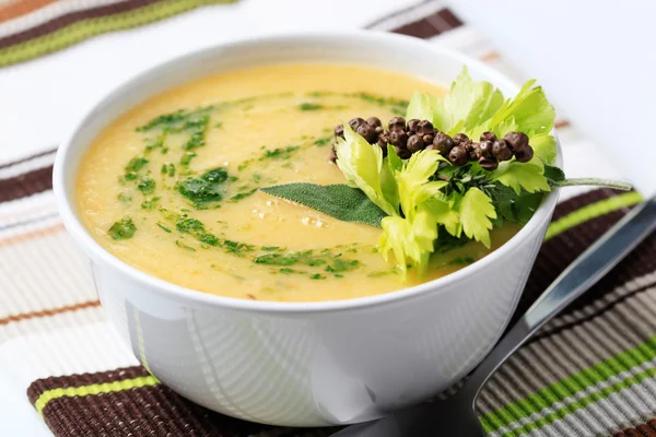 Hustá zeleninová polévka — Stock fotografie