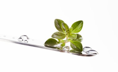 bir bıçak kekik yaprakları