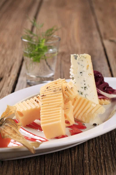 Cheese appetizer — Stock Photo, Image