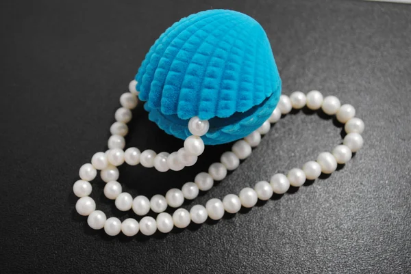 La Perla en concha marina . — Foto de Stock