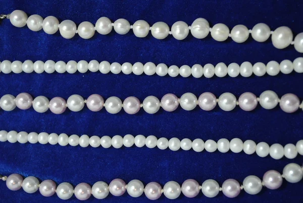 Perle auf blauem Samt — Stockfoto