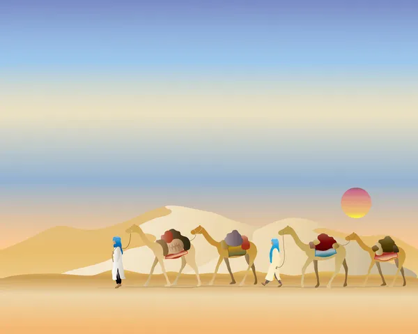 Train à chameaux — Image vectorielle