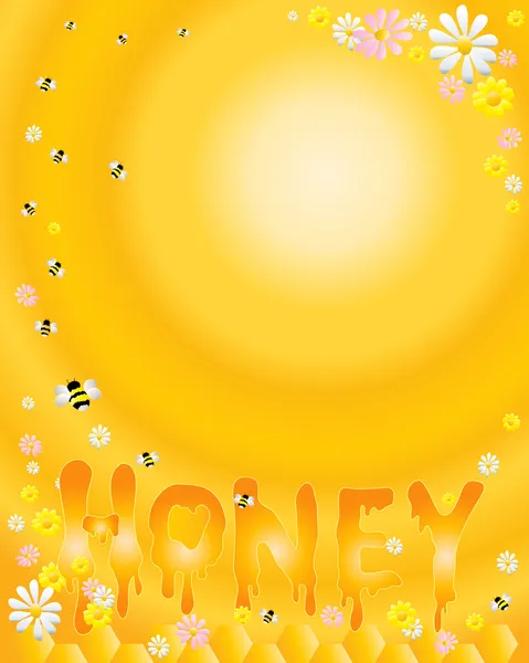 Honey — Stock Vector