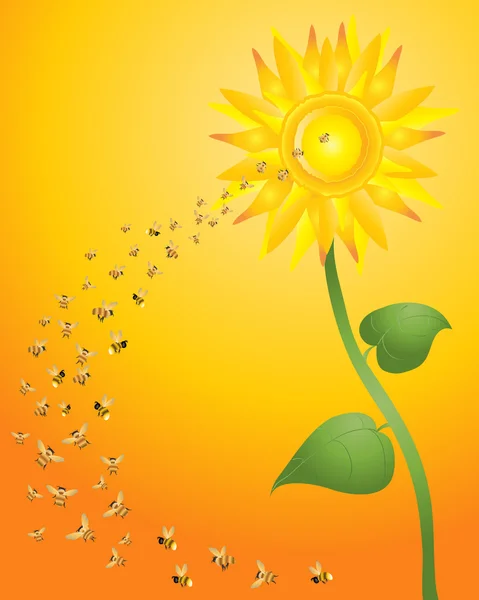 Bees and sunflower — Stock Vector