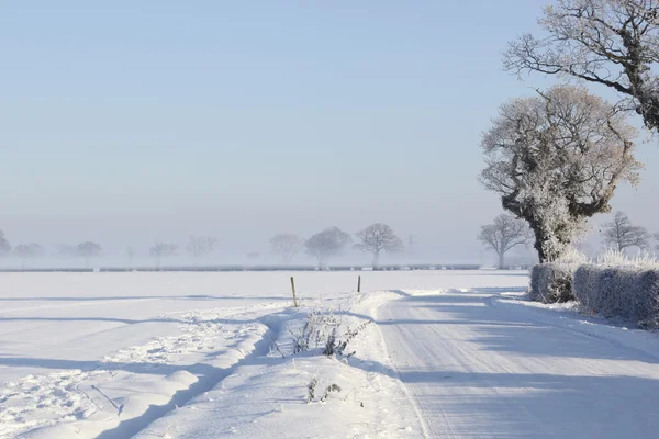 Camino cubierto de nieve — Foto de Stock