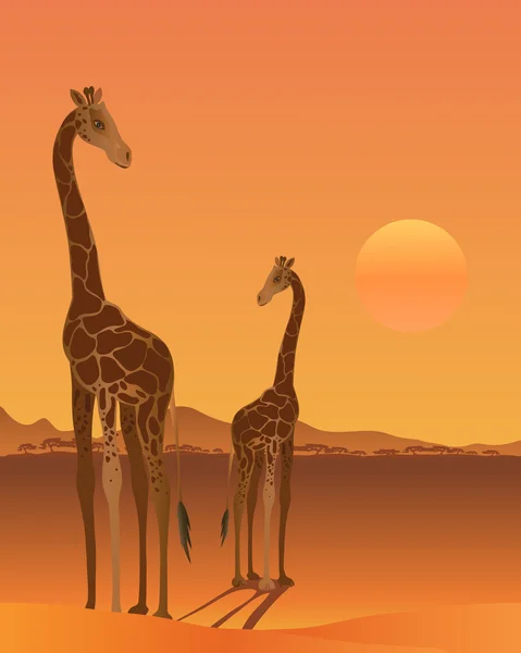 Жираф — стоковый вектор