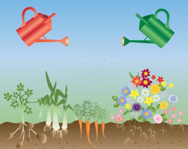 Flowers and vegetables clipart