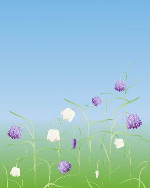 An illustration of snakes head fritillaries fritillaria meleagris growing in a meadow under a blue sky clipart