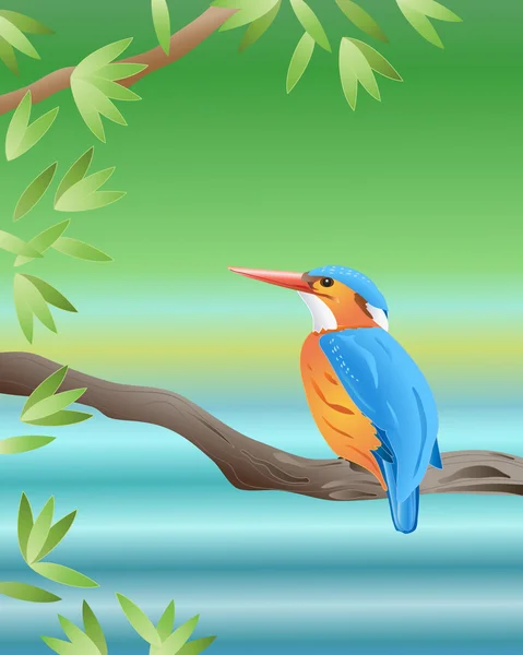 Illustration Malachite Kingfisher Sitting Branch River — Stock Vector