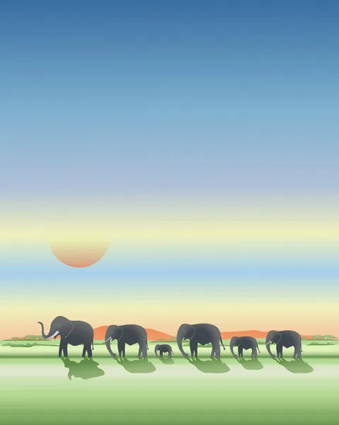 在平原上的大象 — 图库矢量图片