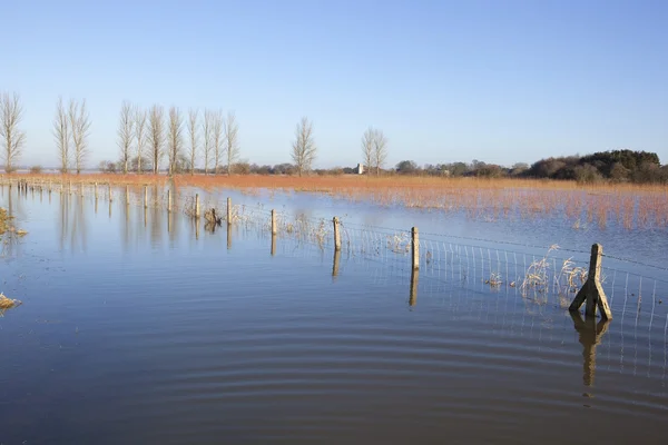 Eine Überflutete Winterlandschaft Mit Maschendrahtzaun Und Jungen Weidensetzlingen Die Unter — Stockfoto