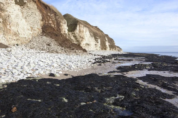 英国景观显示约克郡东海岸石灰岩悬崖的海岸侵蚀 — 图库照片