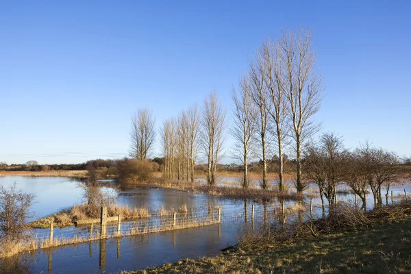 Flooded fields — Stock Photo, Image