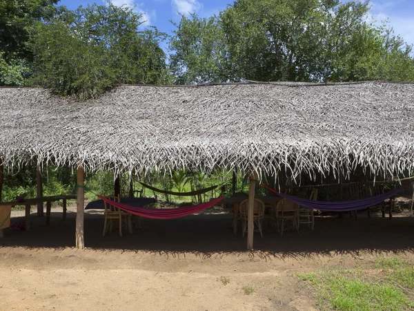 Eine Rustikale Reetgedeckte Dachhütte Mit Hängematten Unter Schattigen Bäumen Sri — Stockfoto