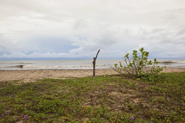 Sri Lankas Landskap Med Dramatiska Molniga Himmel Över Stranden Och — Stockfoto