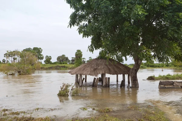Powodzie Sri Lanki — Zdjęcie stockowe