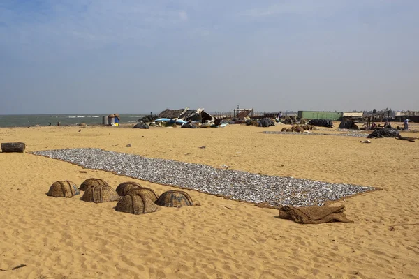 stock image Negombo beach scene