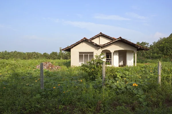 Sri Lanka Landscape Rural Farmhouse Surrounded Flowering Pumpkin Plants Other — Stock Photo, Image