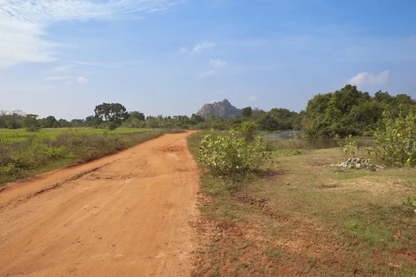 Paysage Sri Lanka Avec Une Route Sablonneuse Rouge Menant Temple — Photo