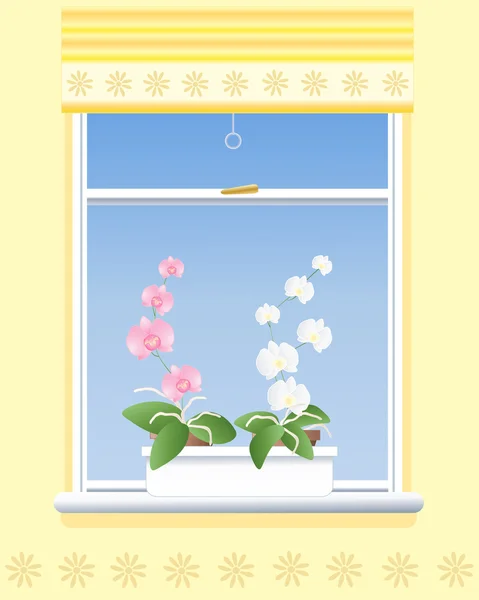 Orquídea alféizar de la ventana — Stockvector