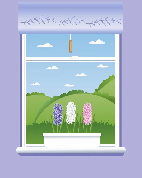 Alféizar de ventana de jacinto — Vector de stock