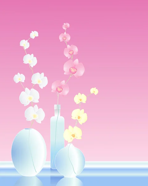 Arrangement d'orchidée — Image vectorielle