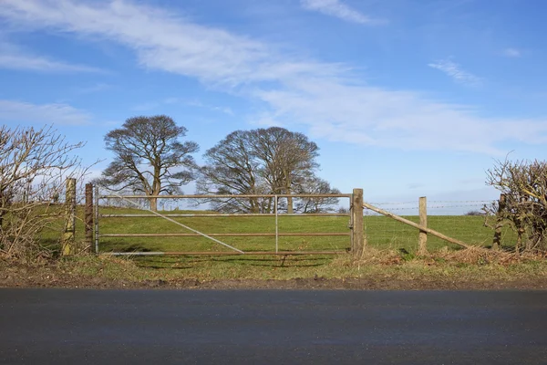 February field gate — Stock Photo, Image