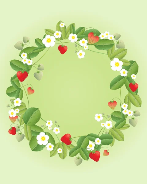 Strawberry wreath — Stock Vector