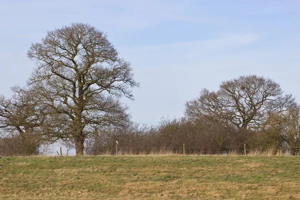 Springtime english landscape — Stock Photo, Image