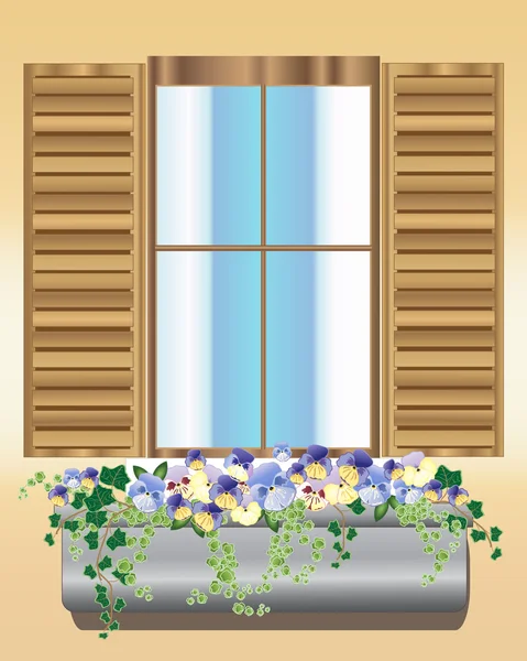 Boîte de fenêtre Pansy — Image vectorielle