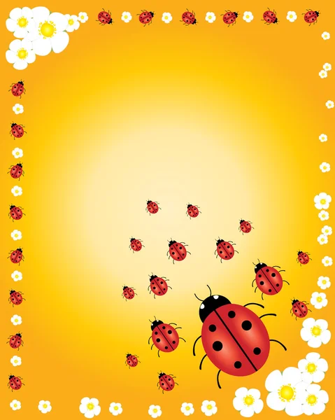Ladybug design — Stock vektor