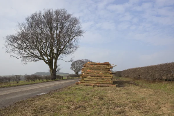 Paesaggio inglese con log stack — Foto Stock