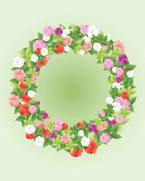 Impatiens and foliage — Stock Vector
